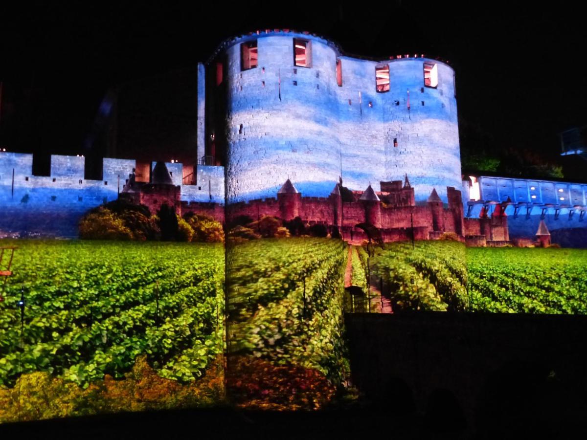 Maison Des Remparts Nichee Sous La Cite カルカソンヌ エクステリア 写真